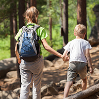 Child Friendly Bush Walks Victoria