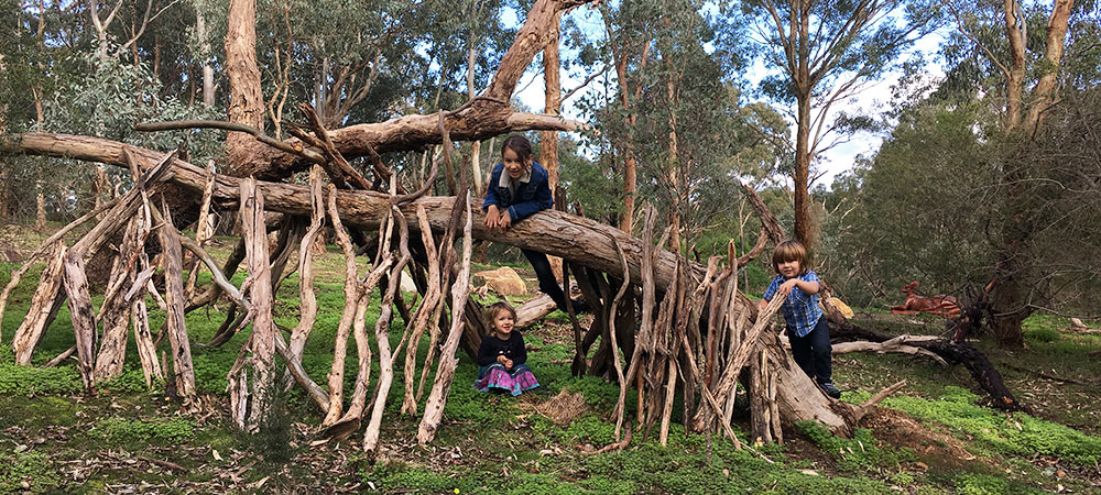 Currawong Bush Park