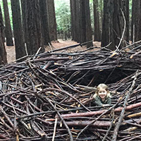 redwood forest dragons nest