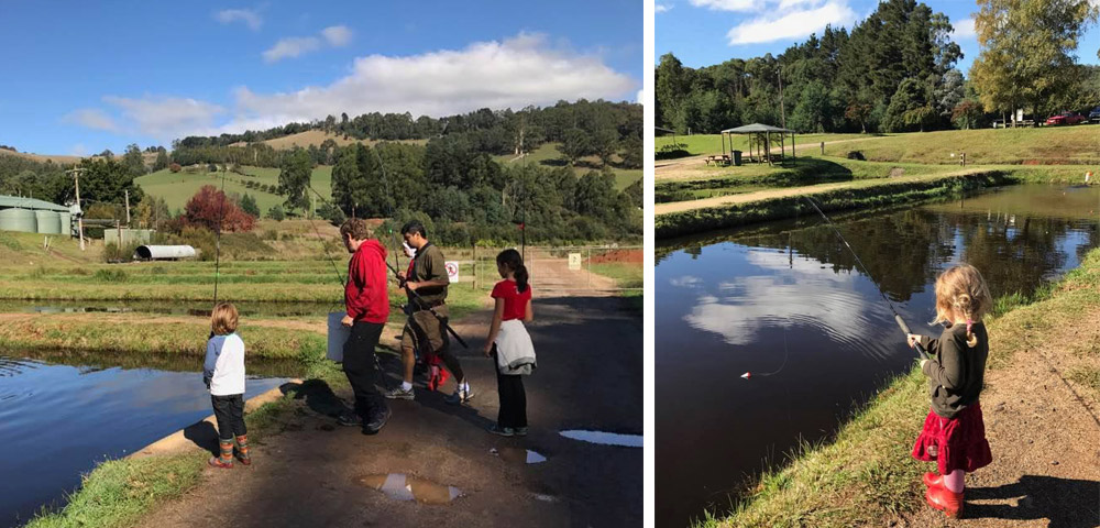 Noojee Alpine Trout Farm - Noojee Victoria