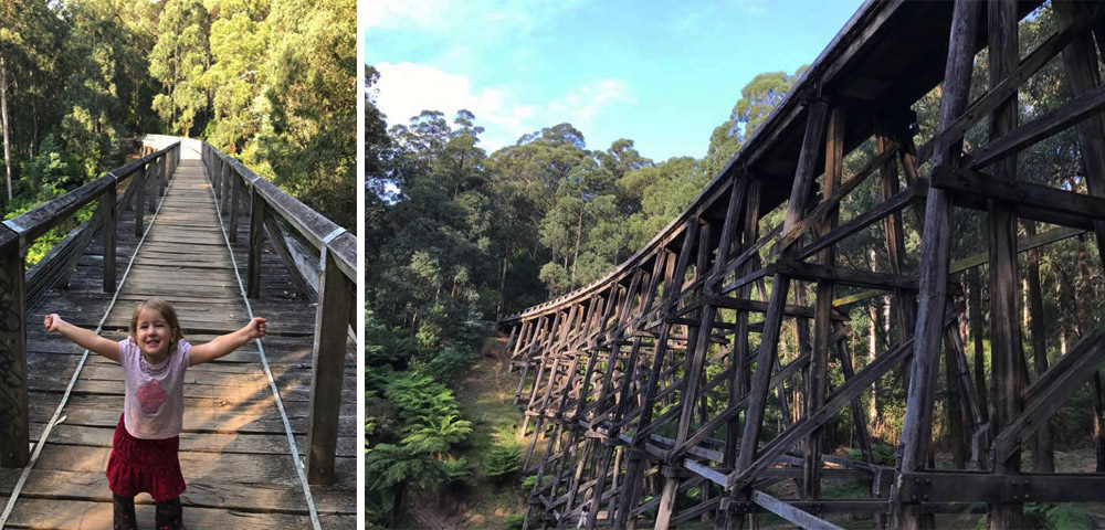 Noojee Trestle Bridge - Noojee Victoria