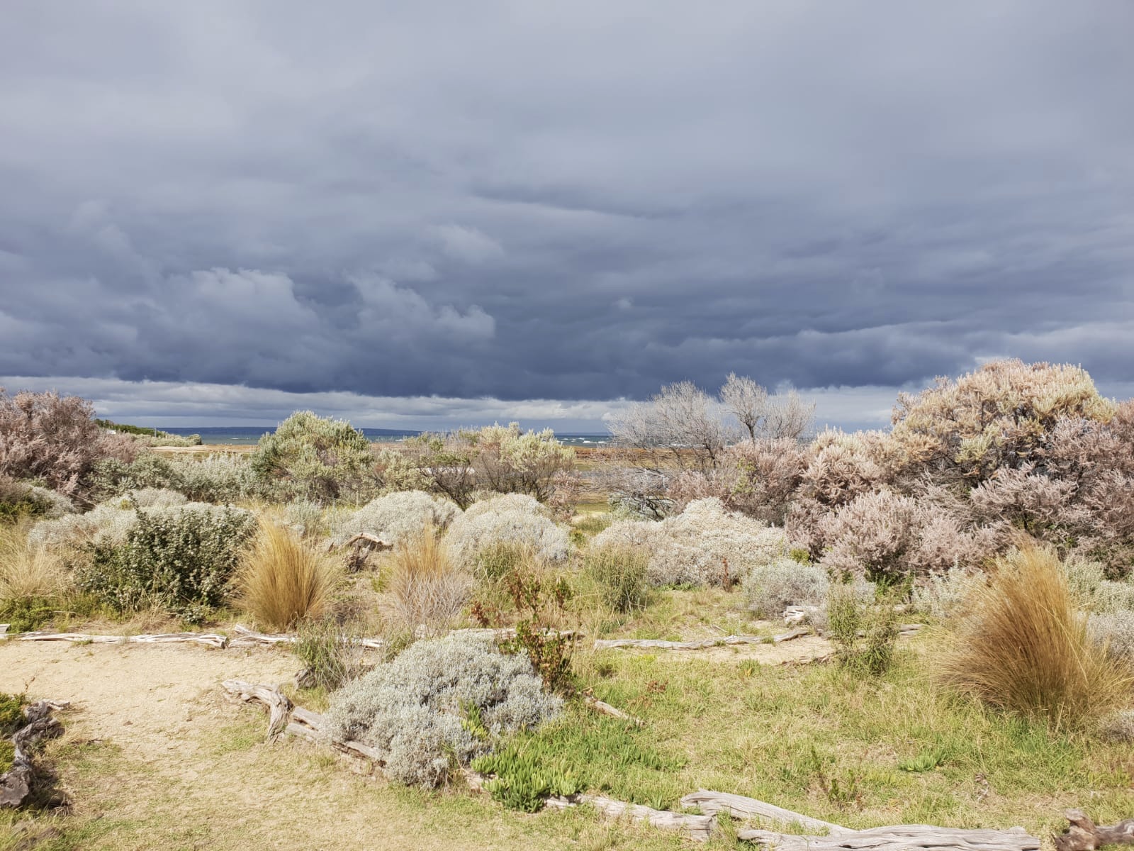 Best Melbourne beaches with kids 