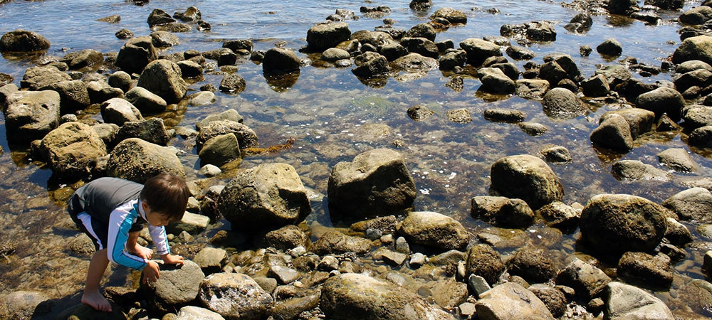 Ricketts Point Beach Playgroups