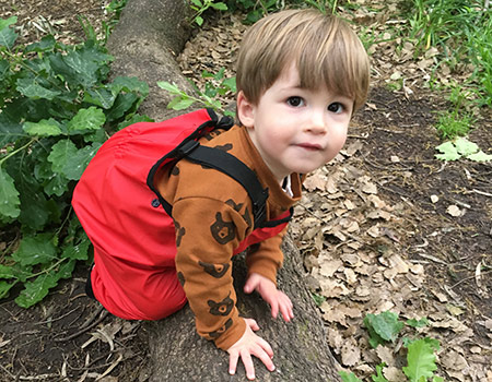 Brimbank Park Bush Playgroups