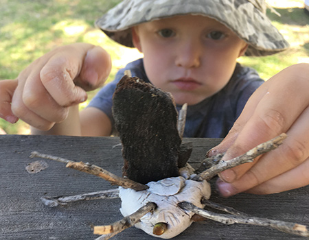 Braeside Park Bush Playgroups