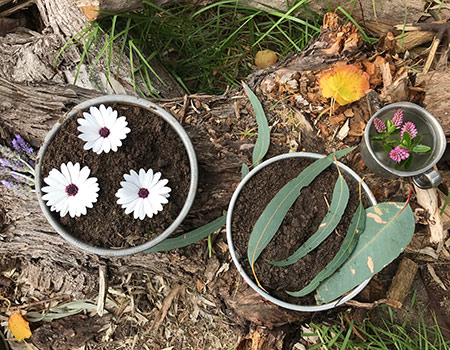 Brimbank Park Playgroups