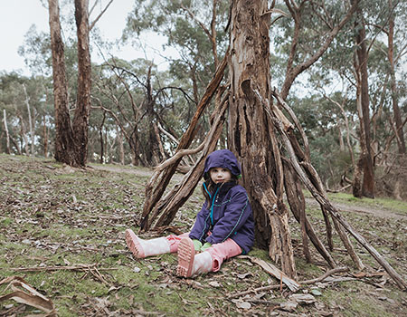 Currawong Bush Park Playgroups