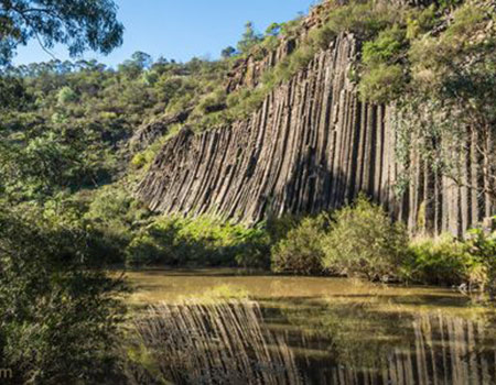 Organ Pipes Playgroups