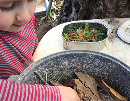 Nature Play Playgroups