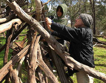 Nature Cubby Building