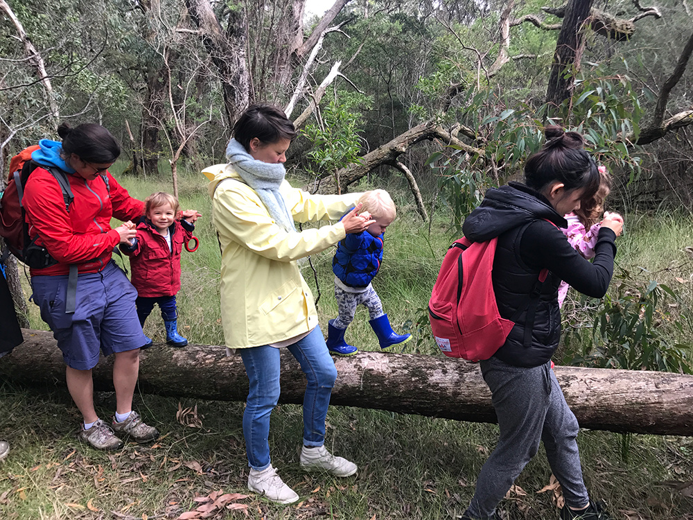 Bush Playgroup Wattle Park Burwood