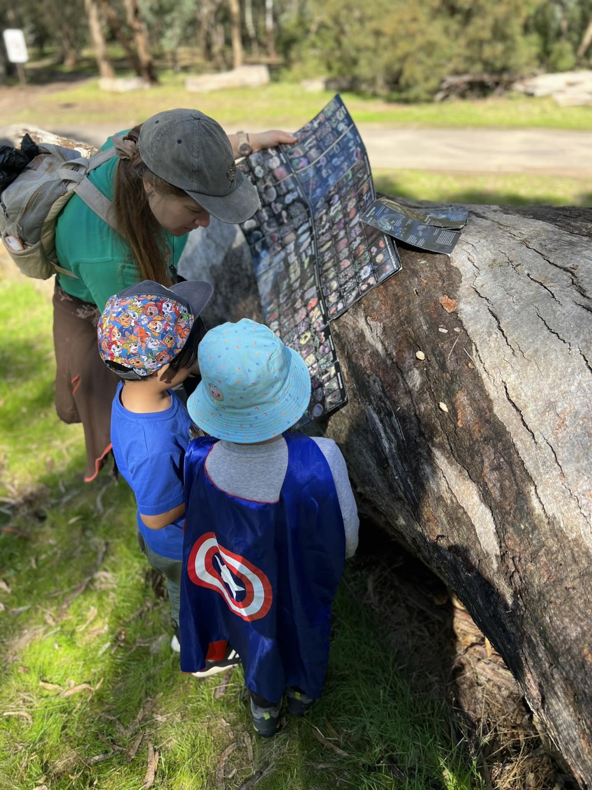 Bundoora ~ Scats, Tracks & Bush Survival - Image 2