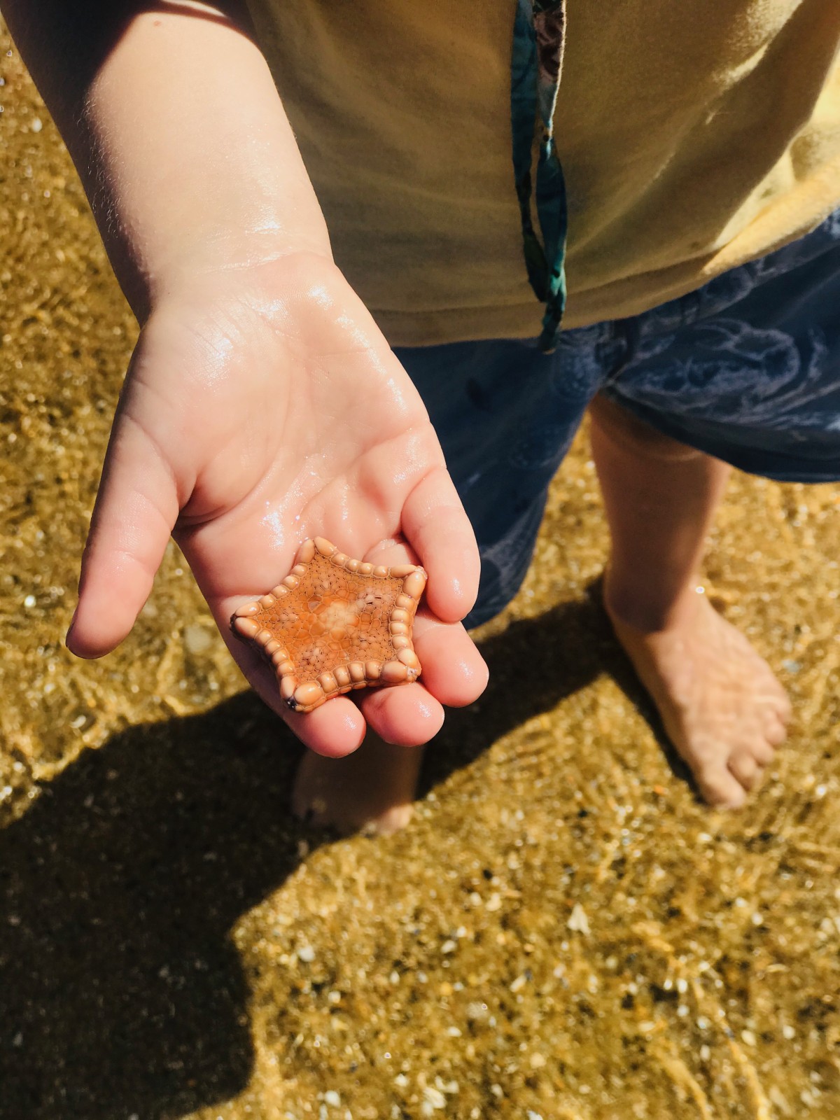 Beach Playgroup Ricketts Point Sanctuary – Mondays - Image 3