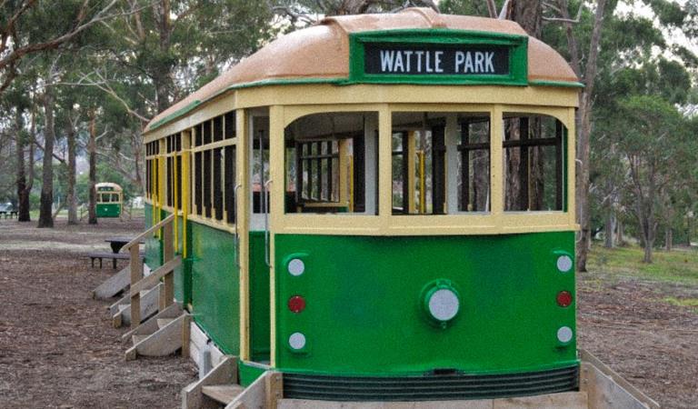 Visit Wattle Park with kids