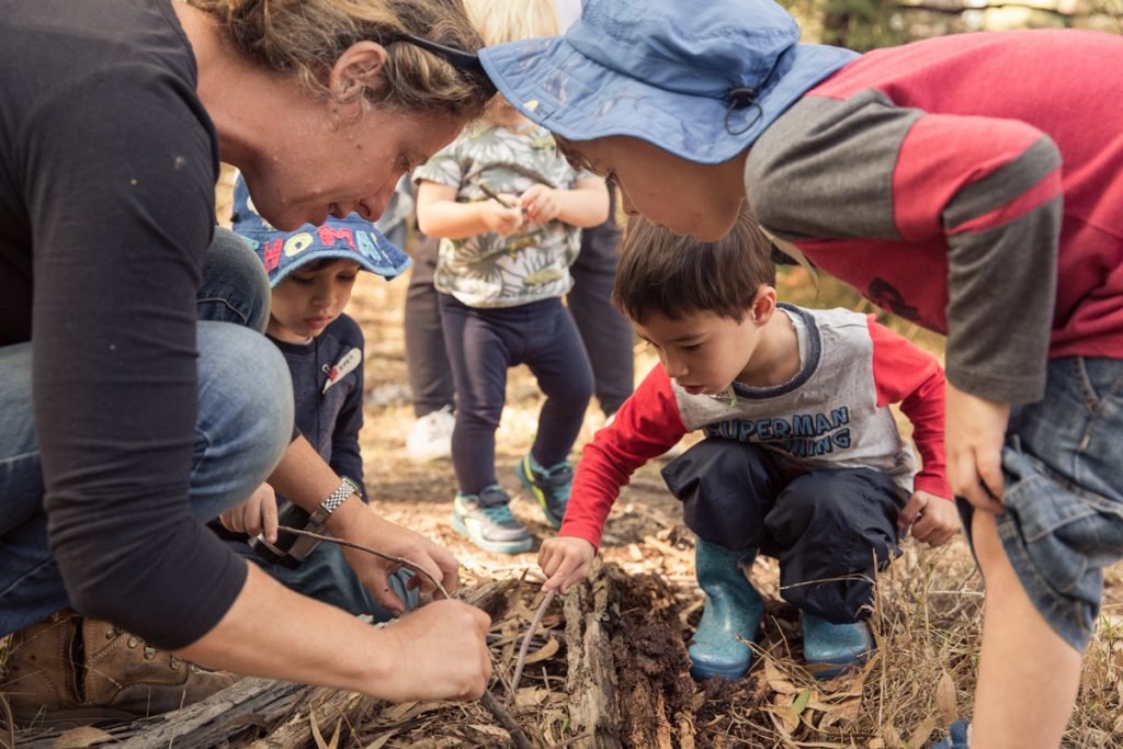 Bush Kindy Gresswell Forest Macleod Kinder program