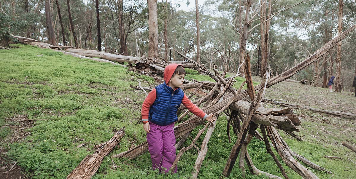 Bush Playgroups Melbourne