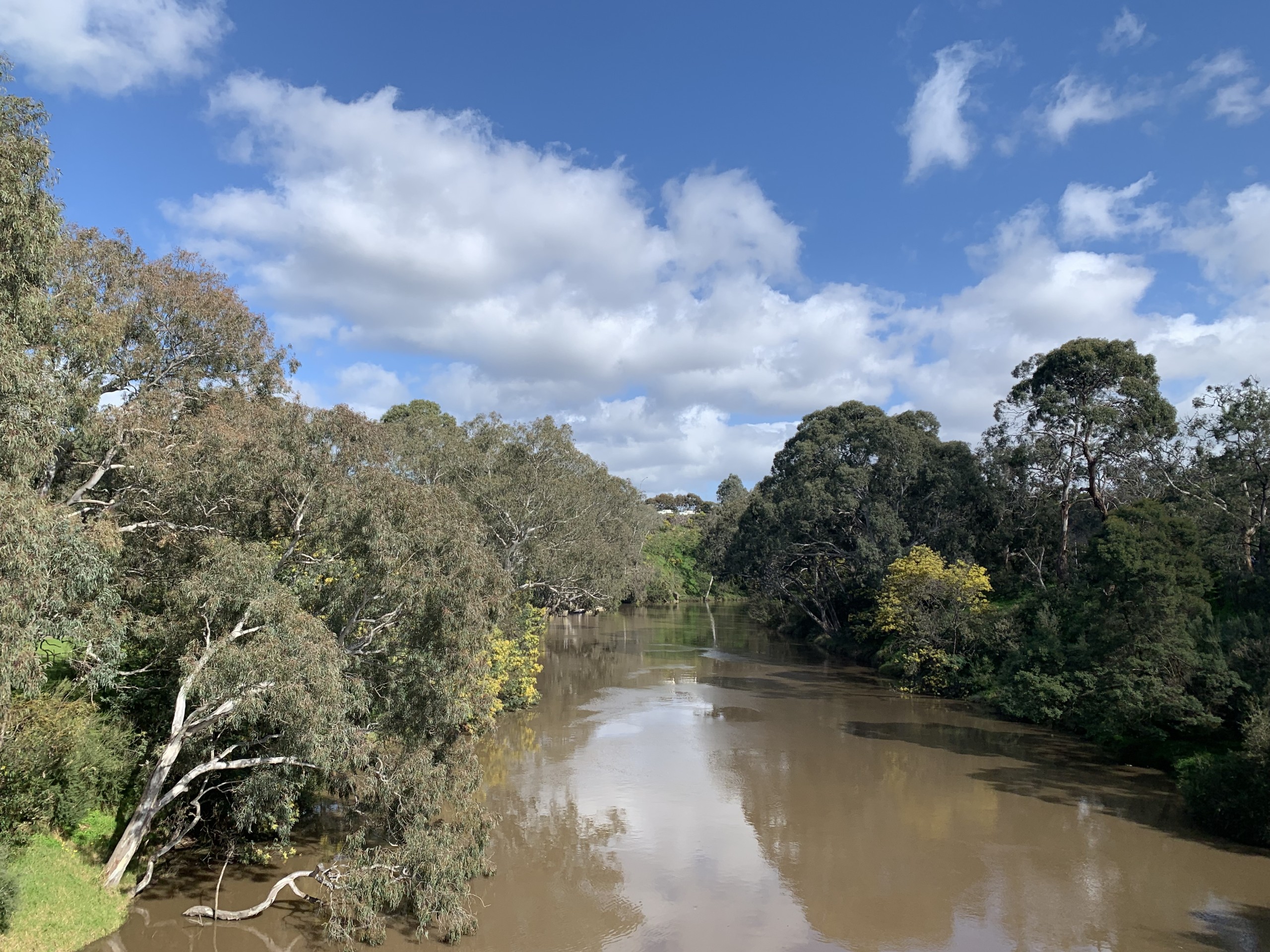 Yarra River at Yarra Bend Park 