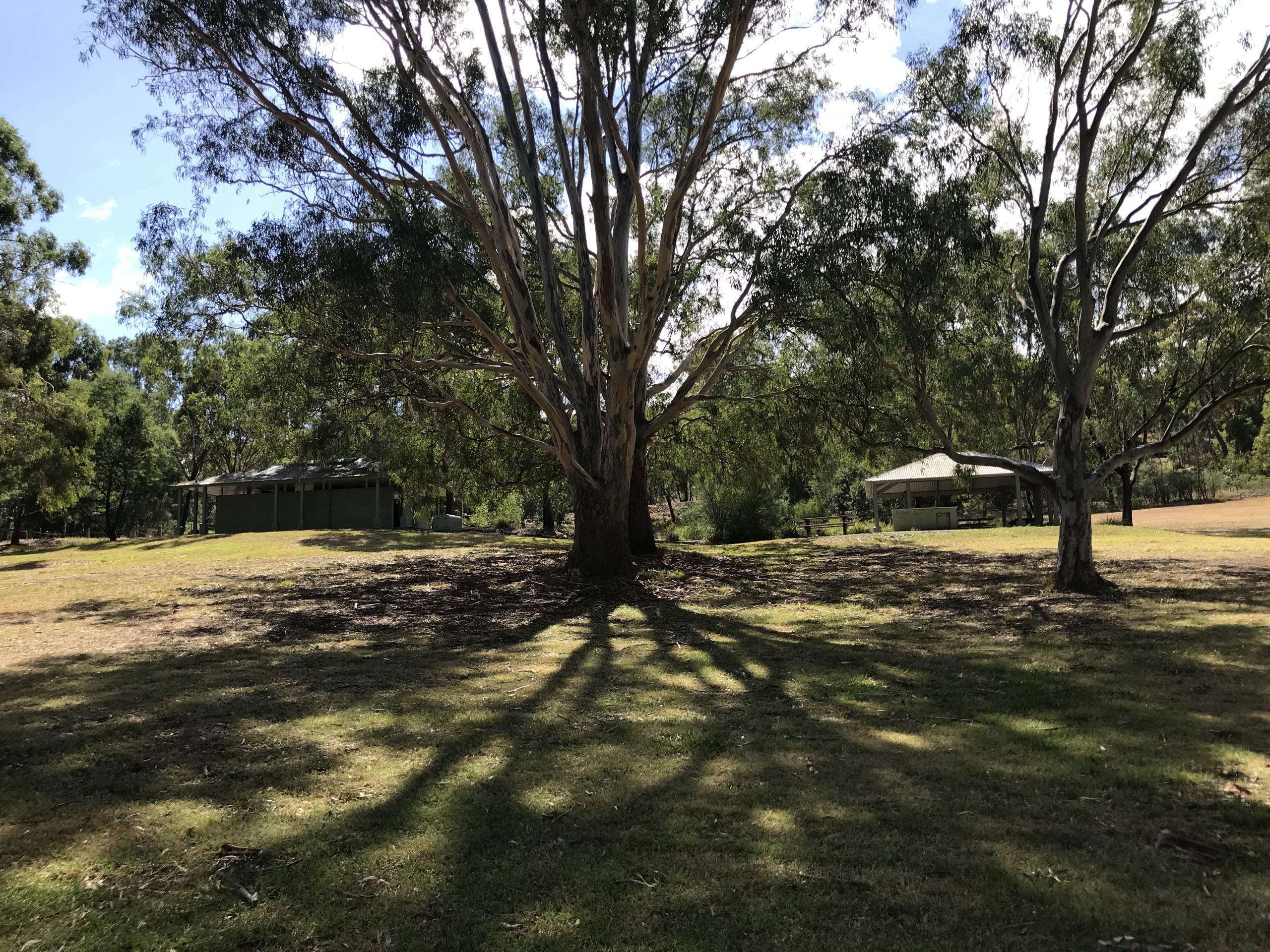 Bellbird Picnic Area