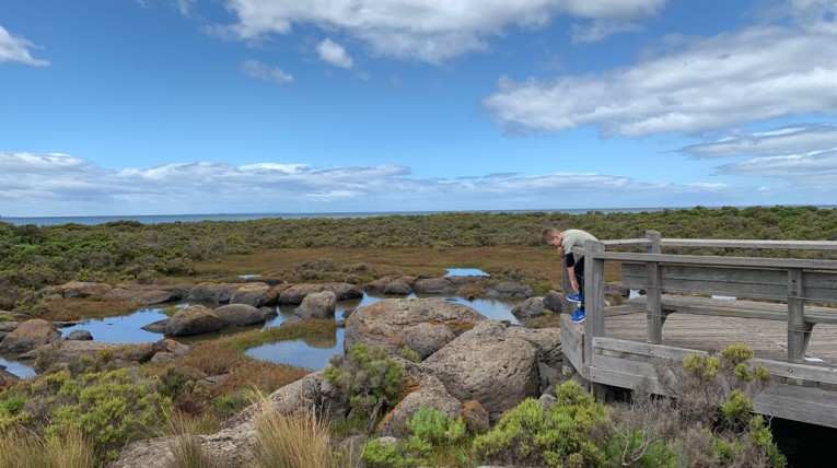 Visit rockpools with kids - Melbourne