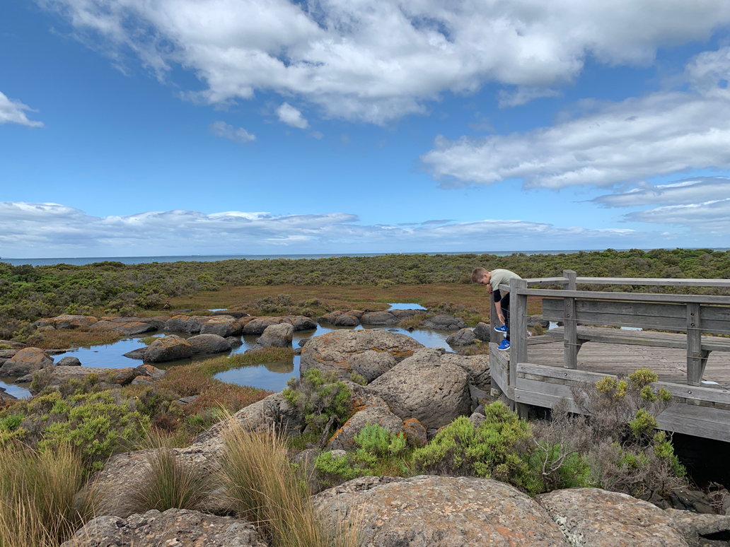 Visit rockpools with kids - Melbourne