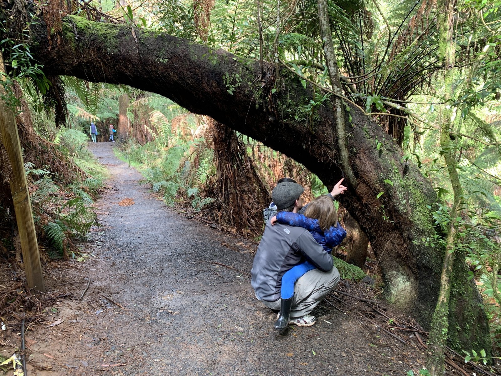 Bush Kids Dandenong Ranges Fridays Eco Explorers