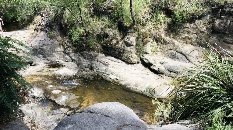 Frankston bush walks with kids