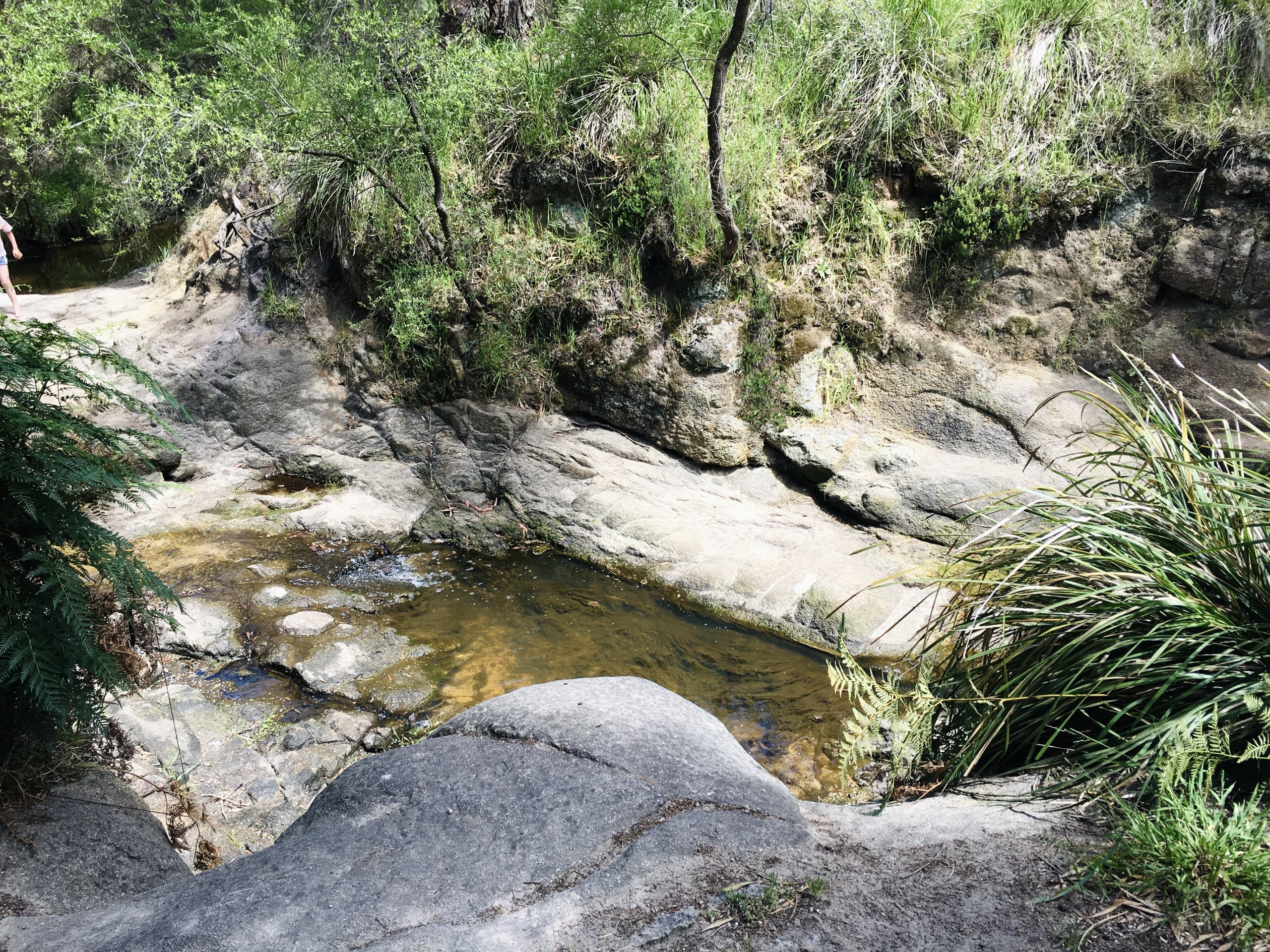 Frankston bush walks with kids