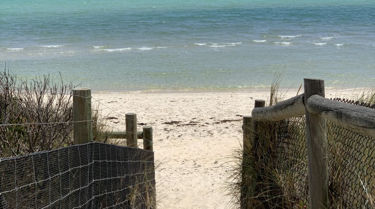 Seaford beach with kids