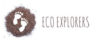 Eco Explorers