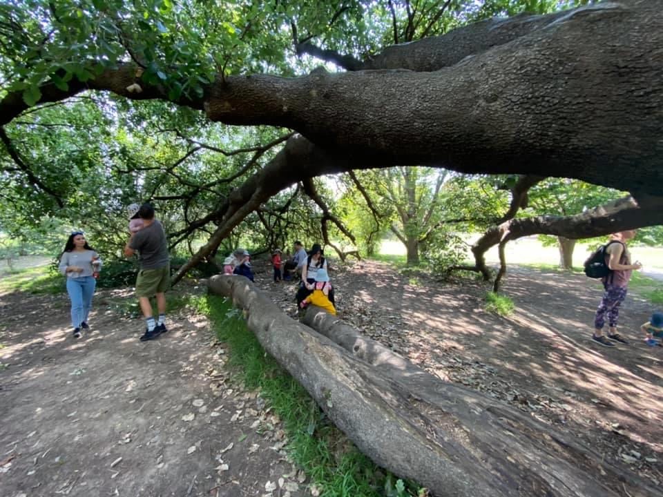 toddler friendly walks near me