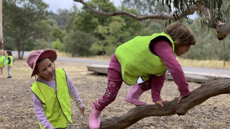 Forest school Melbourne