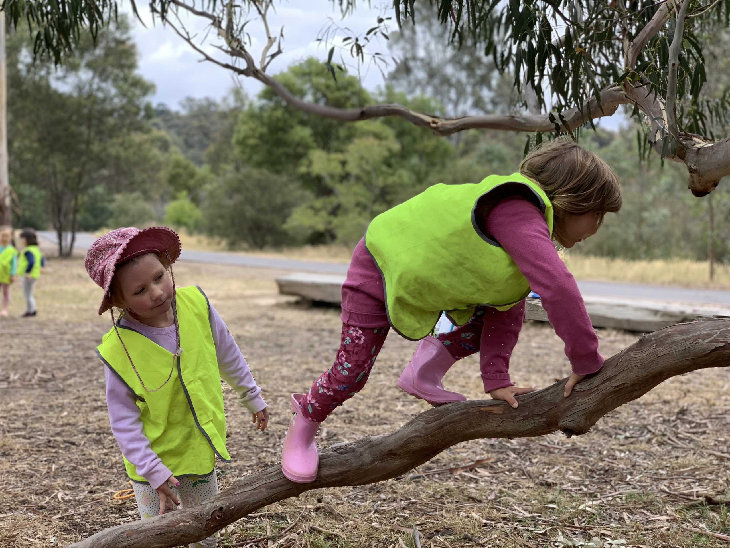 Forest school Melbourne