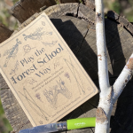 Play the Forest School Way: Woodland Games and Crafts for Adventurous Kids