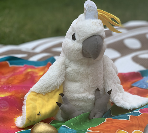 cockatoo soft toy