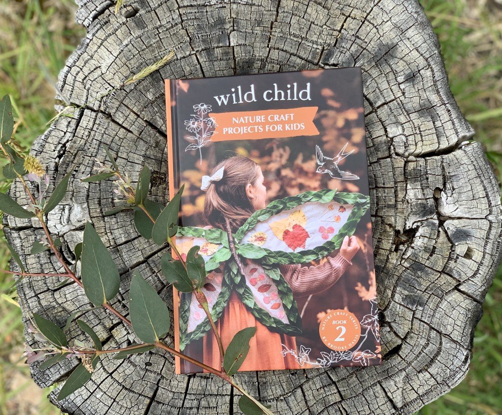 Wild Child Book - Eco Explorers