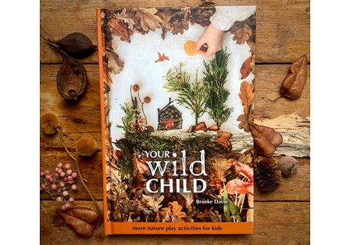 Your Wild Child Book – Eco Explorers