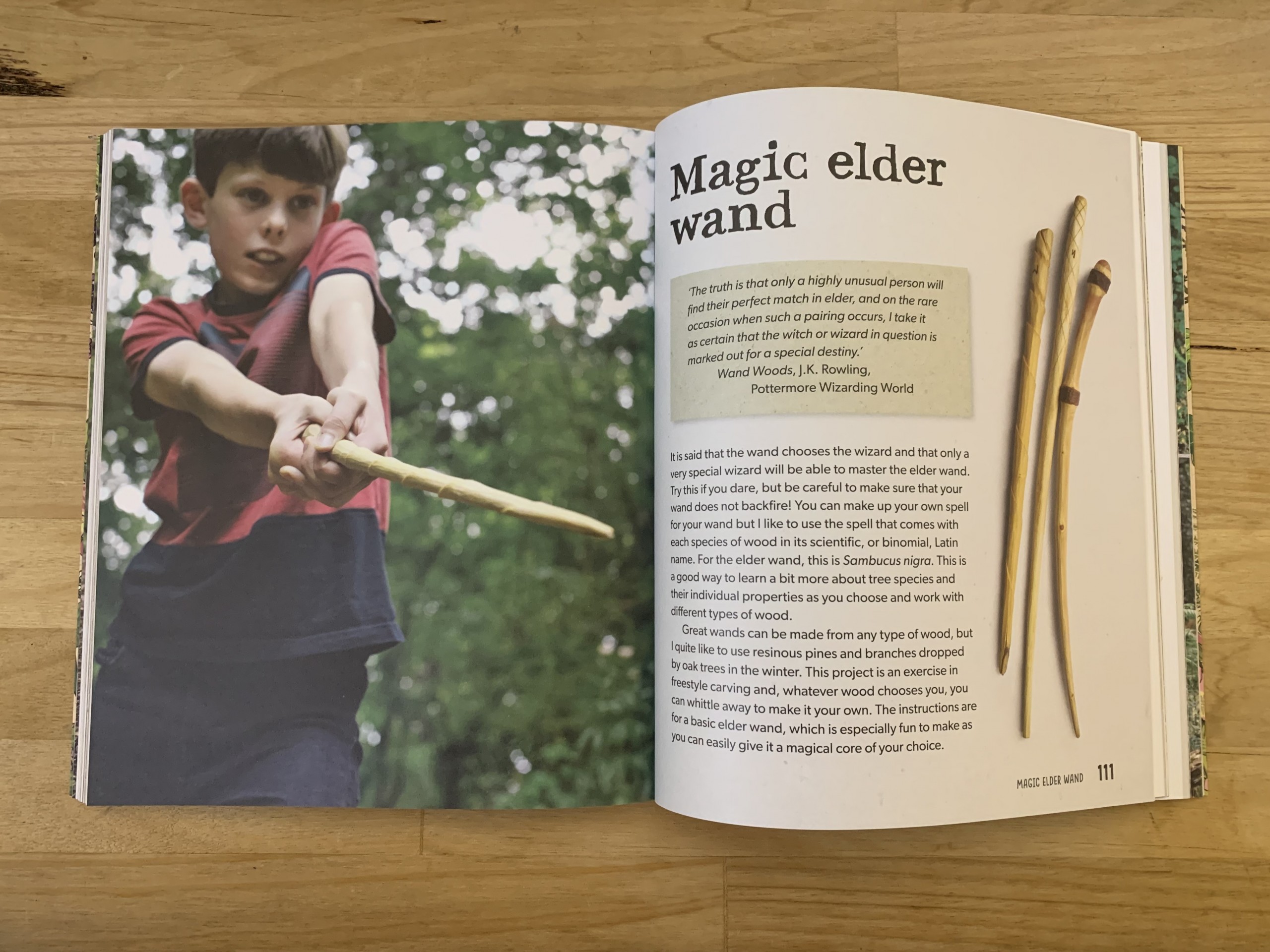 Woodland Whittling Book