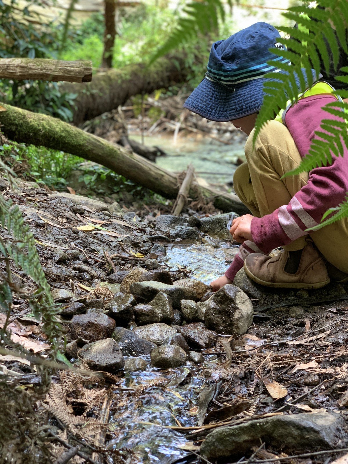 Bush Playgroup Dandenong Ranges (Sassafras) Tuesdays Eco Explorers