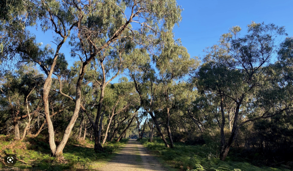 Langwarrin Flora and Fauna Reserve Eco Explorers Langwarrin Flora and Fauna Reserve Eco Explorers