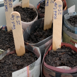 Paper Pot Maker - Image 4
