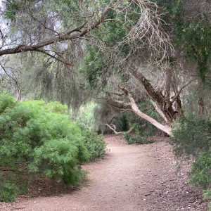 Nature parks with kids Parkville