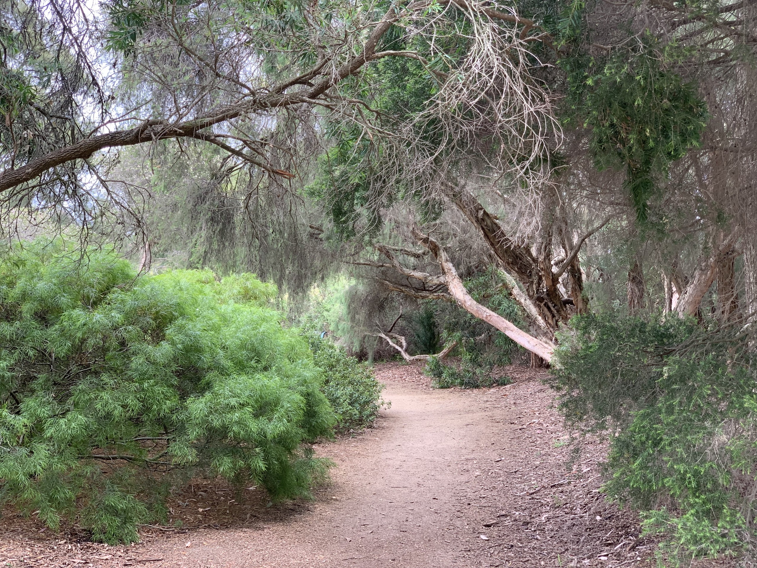 Nature parks with kids Parkville