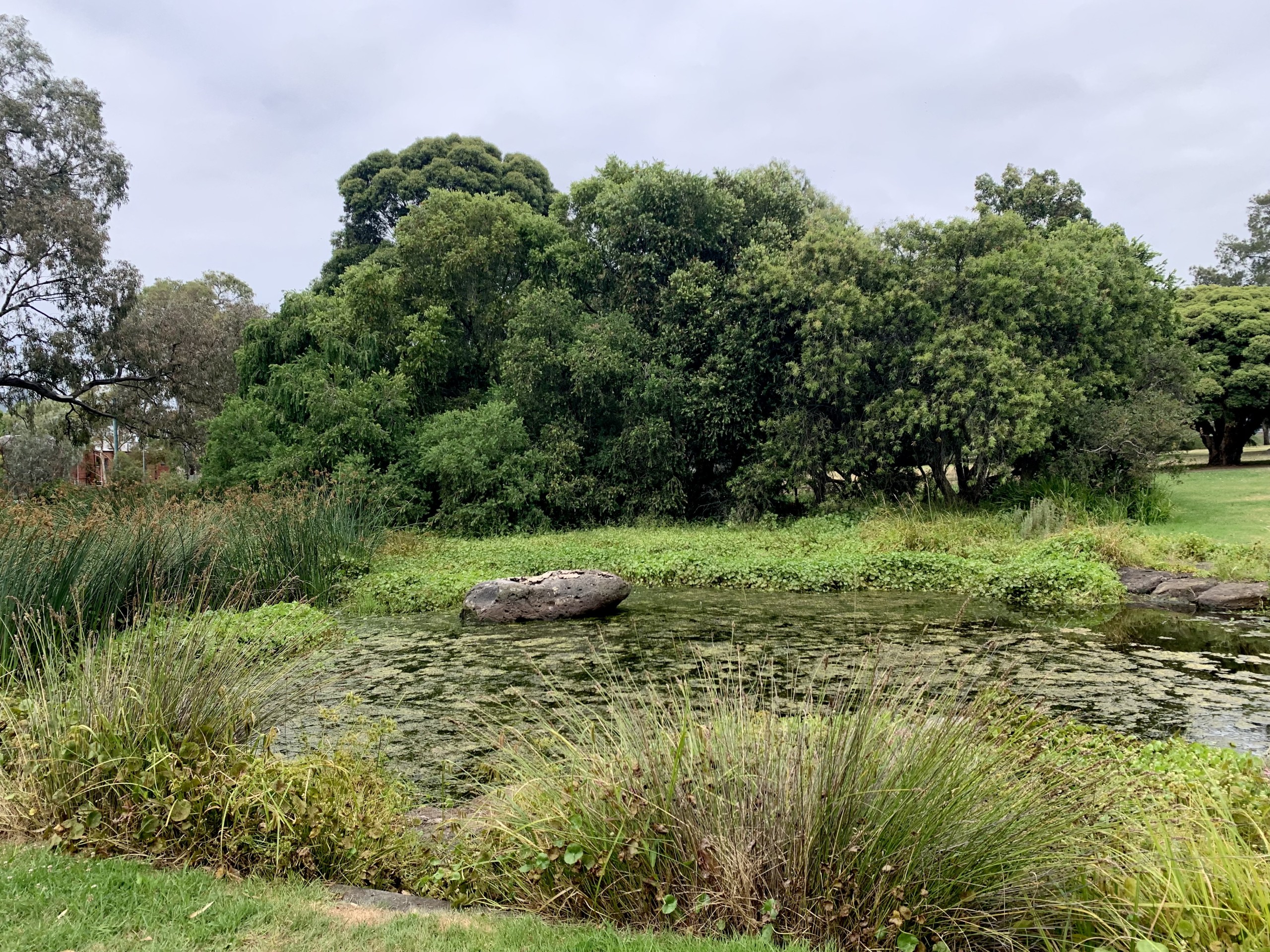 Royal park Melbourne with kids