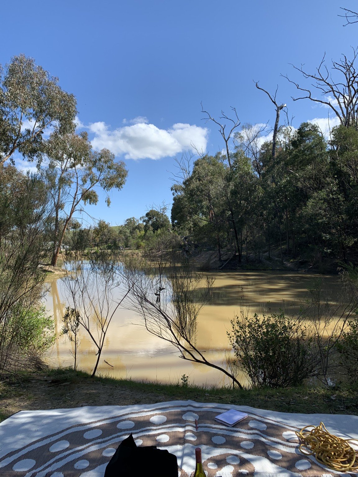 strathewen-eco-explorers