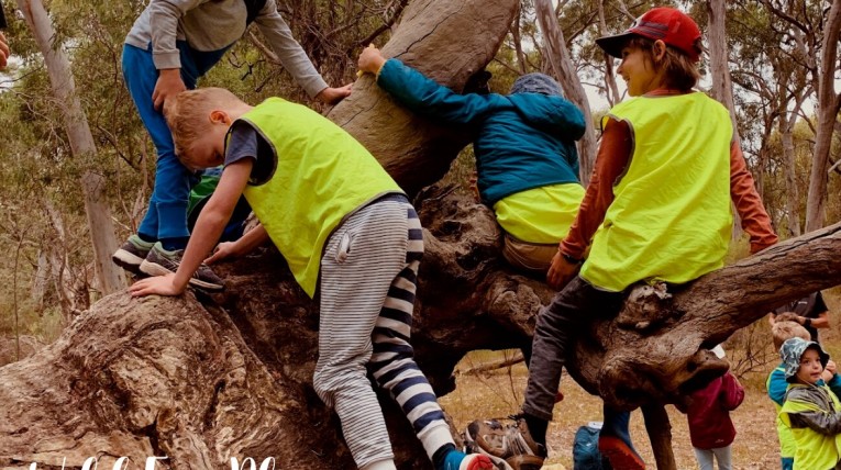 Mornington Peninsula Forest School Kids