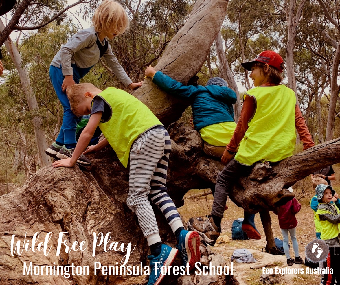 Mornington Peninsula Forest School Kids