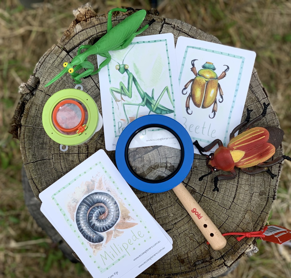 Bug hunt kids activity pack