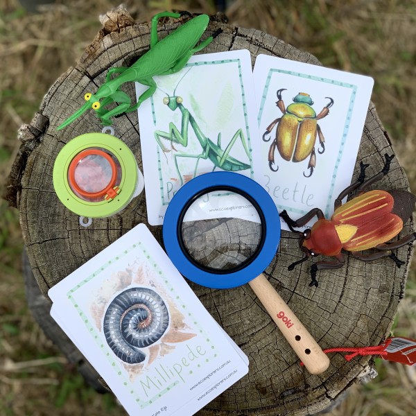 Bug hunt kids activity pack