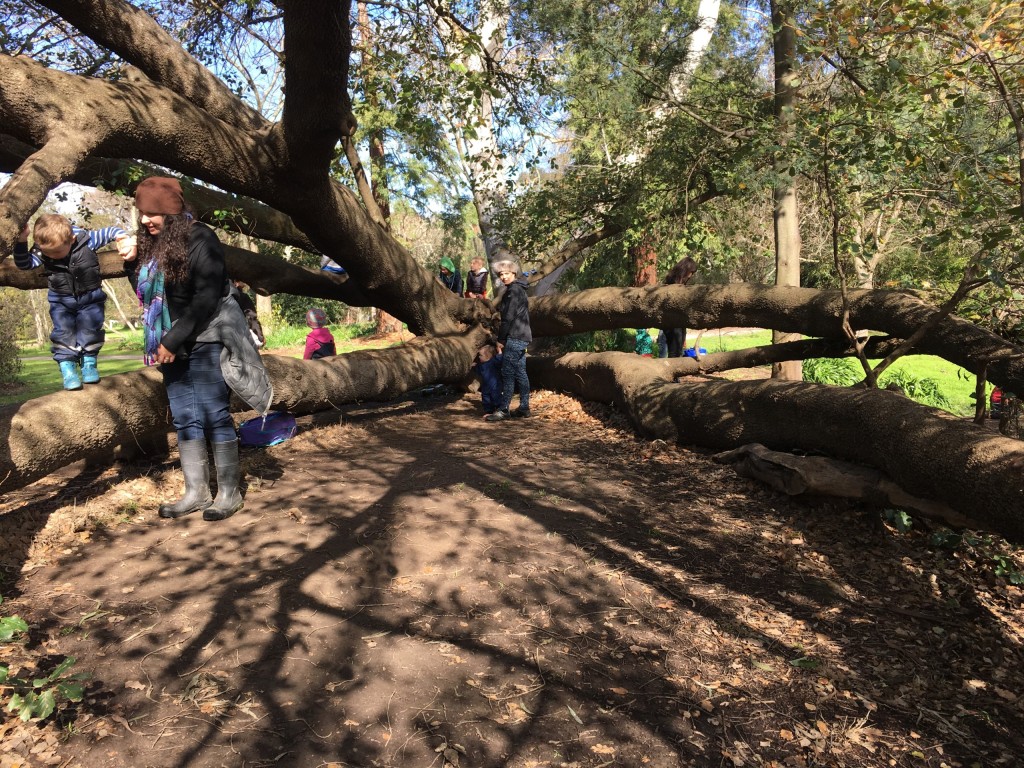 Bulleen nature play