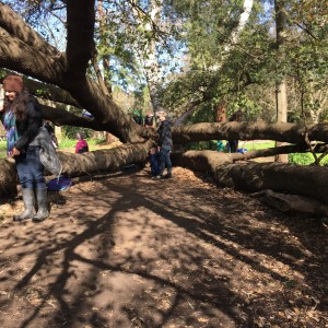 Bulleen nature play